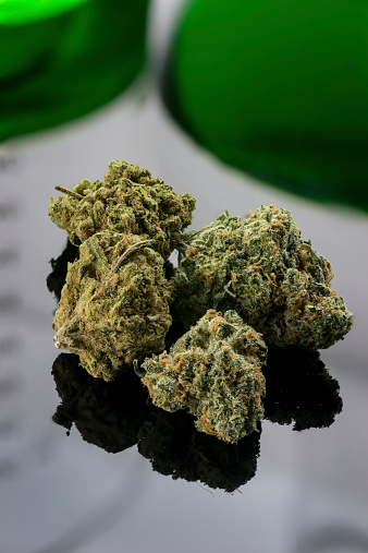Cannabis terapeutica, Saitta: autorizzare nuovi enti alla produzione